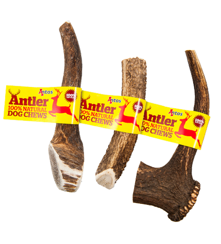 Highland Antler (Hastes de Veado-Vermelho)