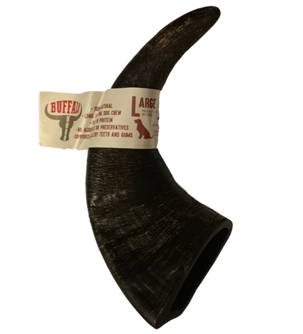 Highland Buffalo Horn (Cornos de Búfalo)