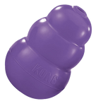 Kong Senior