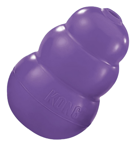 Kong Senior