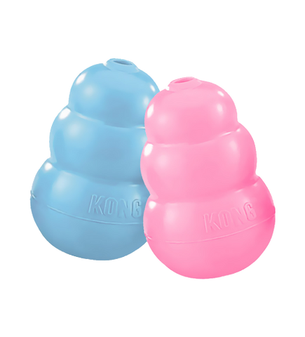 Kong Puppy